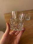 Orrefors whiskeyglas 4-pack