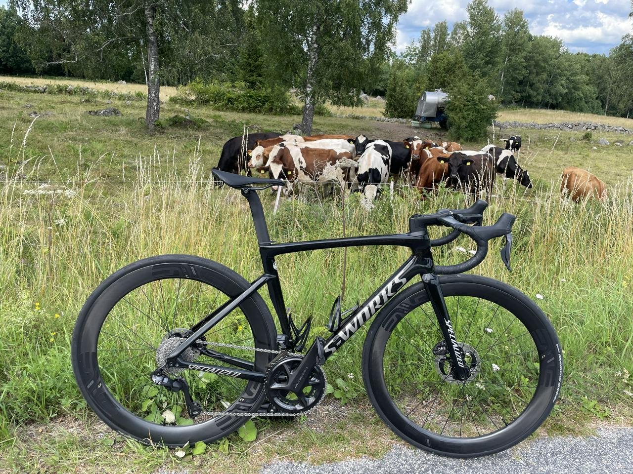 ramset s-works tarmac sl7 (54)