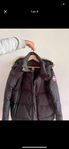 Canada goose M