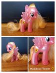 My Little Pony Meadow Flower G4