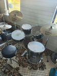 Pearl Export trumset 