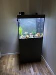 akvarium juwel lido 200 liter med möbel