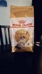 Royal Canin Ragdoll Adult 