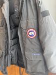 Canada Goose Expidition Parka (Strl Large), Graphite 