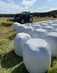 Hösilage