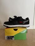 Nike SB Dunk Low Wasted Youth 42,5