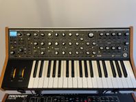 Moog Subsequent 37