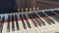 Flygel, Yamaha C1