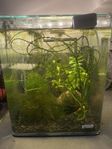 säljer ett 20 liter akvarium