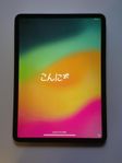 iPad Pro 11" 256GB M2 2022 (4th Gen) - Apple Care Dec 2025 