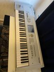 korg triton 