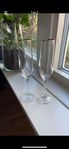  Table top Champagne glas 6 st med silverkant 