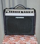 Fishman Loudbox Mini 