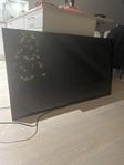 Samsung tv-skärm 55 tum