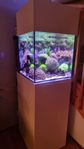 Saltvatten Aquamedic Cubicus Qube 140l 