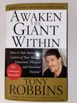 Awaken the Giant within (Anthony Robbins) - Storpocket