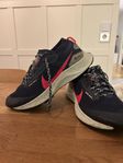 Nike trail Pegasus 3 GTX