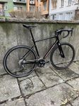 Specialized Allez E5 Disc Sport 2024 - strlk 58