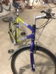 Robust MTB Trek 6000 alu 