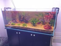 akvarium 350l