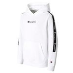 Champion hoodie