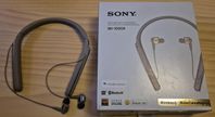 Sony wi-1000x 