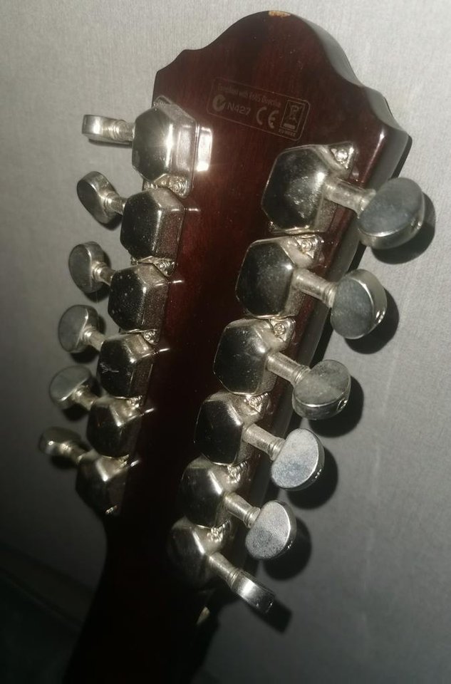 Ibanez 12 strängad gitarr. 