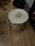 Pearl vision All Birch 16 x 16 golvpuka med case