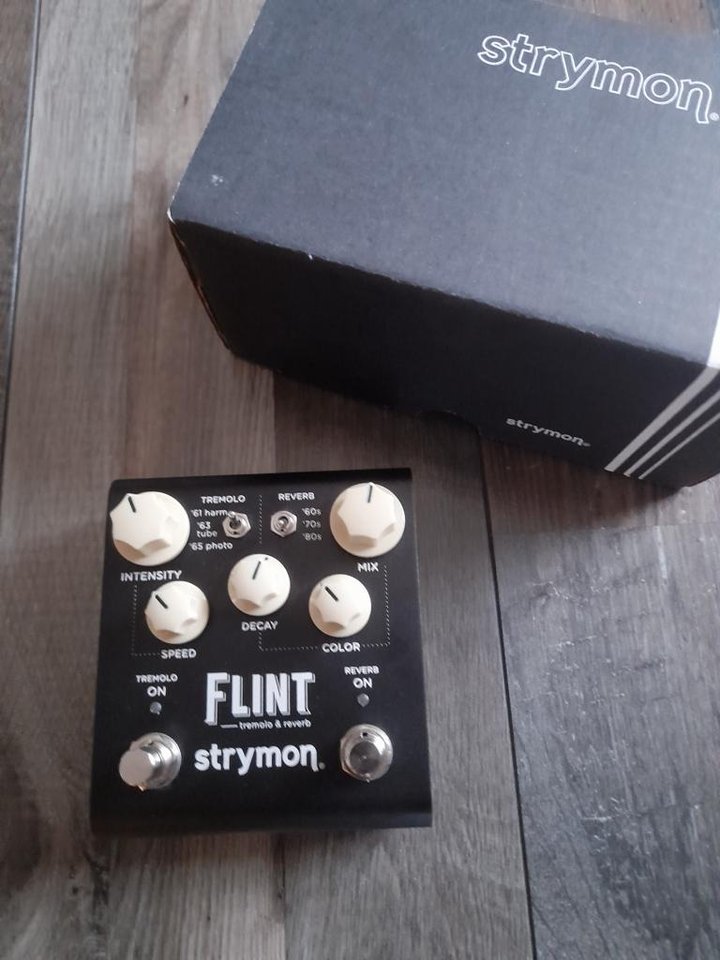 Strymon Flint V2