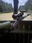 Browning BLR .308W 