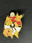 Pokemon Pikachu Evolution Pin