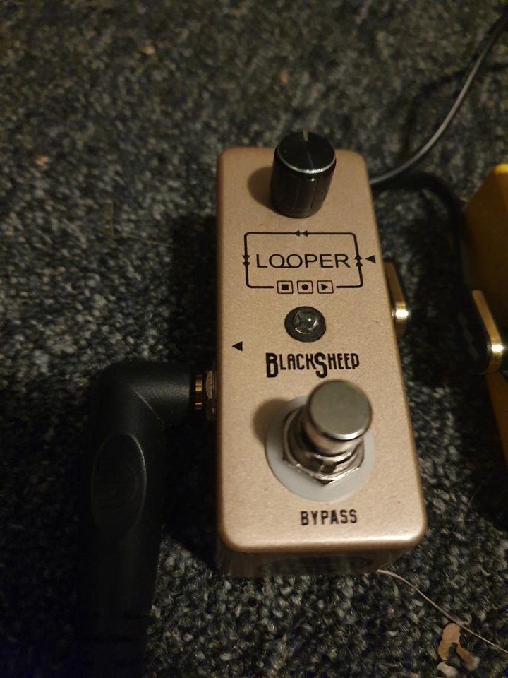 BlackSheep Looper