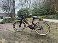 Crescent Narre 20" 3-vxl vinröd barncykel