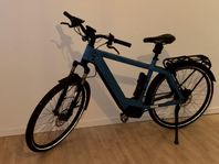 Herr el cykel av modell Riese &Muller charger matt 53 cm