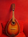 1970,SJ,Lafleur Varsity, London Mandolin, Julklapp 