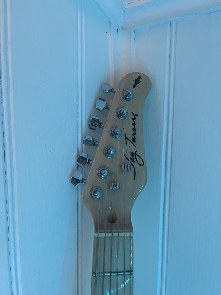 Jay turser strat