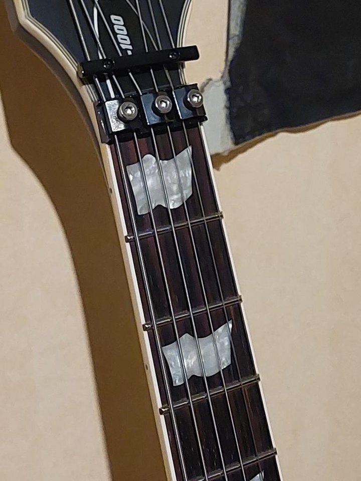 ESP LTD EC-1000FR