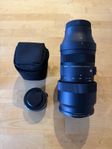 Sigma 100-400mm f/5-6.3 + Sigma TC-1411 1.4x ( L-Mount ) 