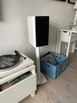 Dynaudio Focus 160 / Bluesound Pulse Mini