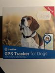 Tractive GPS gör hund