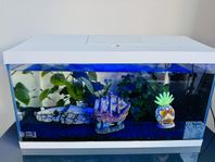 Aquael Akvarium 54 liter med tillbehör och fiskar