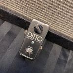 Tc Electronic Ditto Looper