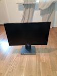 Gaming monitor (Dell 165hz)