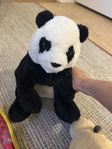 gossedjur, panda 50kr