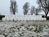 Hösilage