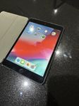 iPad mini 2 med fodral