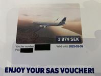 SAS Voucher värd 3879 kr