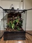 Terrarium med regn system 