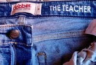 Dobber THE TEACHER