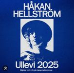 Håkan Hellström ståplats 7 juni Ullevi, 4 st biljetter 